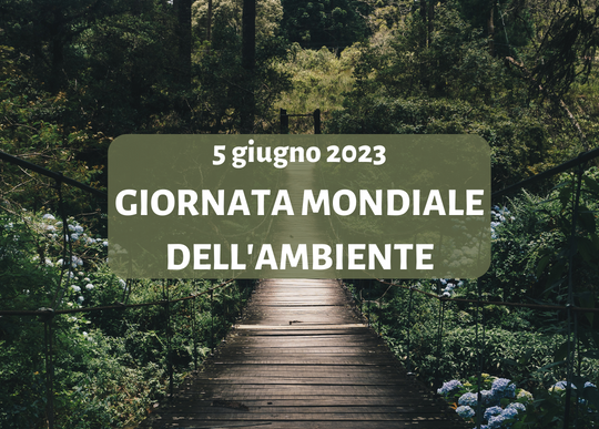 5 giu giornata mondiale ambiente.png